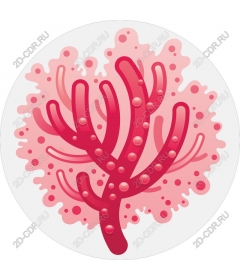 Bright coral