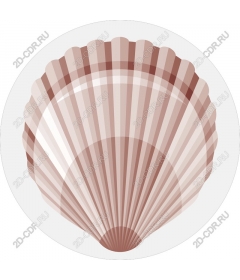  Elegant shell crest