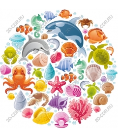  Colourful sea life