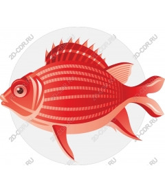  Bright red fish