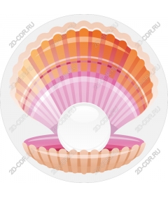  Elegant pearl shell