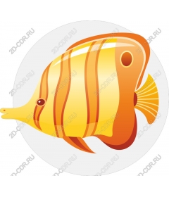  Bright orange and yellow fish