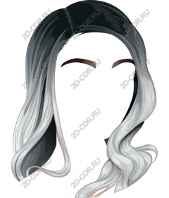  Chic hair Ombre