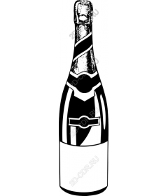  The elegant bottle of champagne