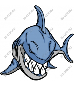  Fierce Blue Shark