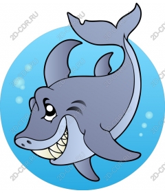  Cartoon shark