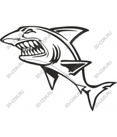  Ferocious Shark