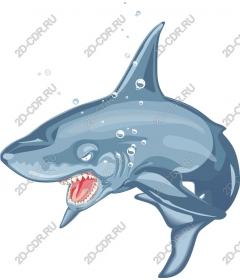  Ferocious Shark