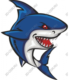  Ferocious Shark
