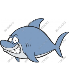  Cartoon shark