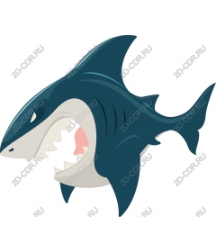  Ferocious Shark