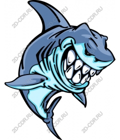  Ferocious Shark