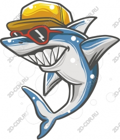 Sun Shark ?!