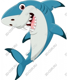  Adorable cartoon shark