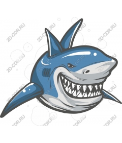  Ferocious Shark