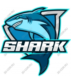  Ferocious Shark