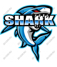  Ferocious Shark