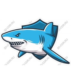  Ferocious Shark