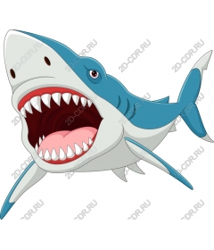 Playful cartoon shark