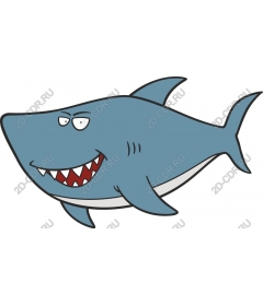  Brazen Shark