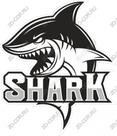  Ferocious Shark