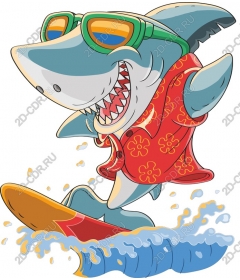 Shark surfer