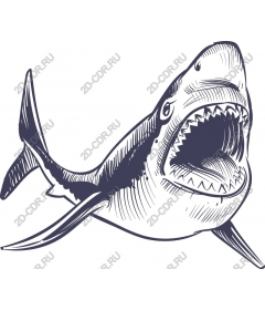  Ferocious Shark