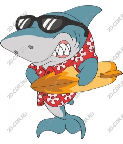  Cool shark surfer