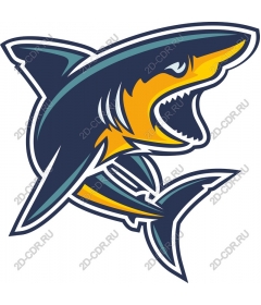  Ferocious Shark