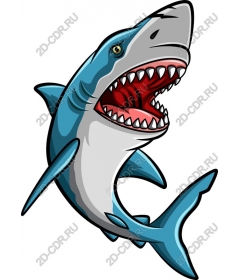  Ferocious Shark