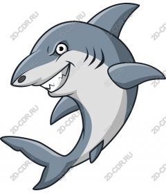  Cartoon shark