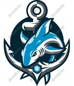  Anchor Shark