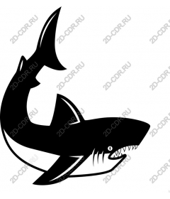  Ferocious Shark