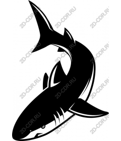 Dynamic Shark