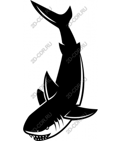  Ferocious Shark