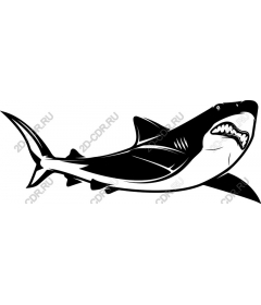  Ferocious Shark