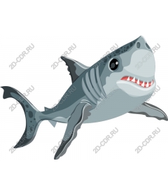  Bright shark