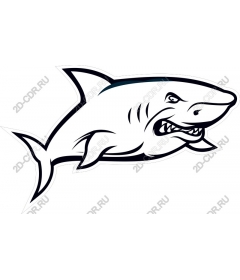  Ferocious Shark