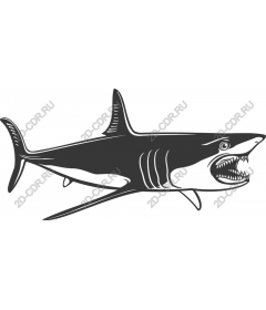  Ferocious Shark