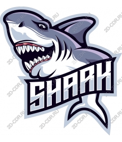  Ferocious Shark