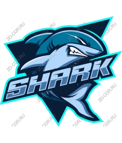  Ferocious Shark