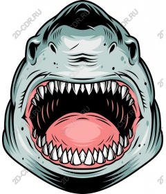  Ferocious Shark