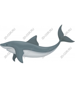 Stylish Shark