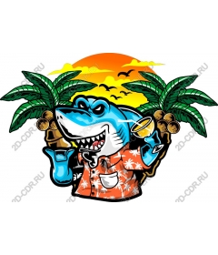  Tropical shark