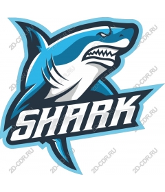  Ferocious Shark