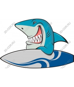Playful surfing with sharks