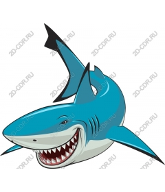  A bright blue shark