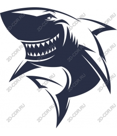  Ferocious Shark