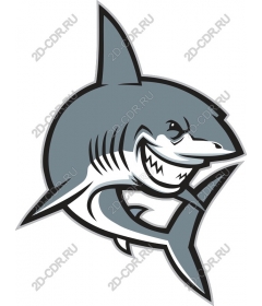  Ferocious Shark