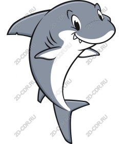 Funny Shark